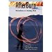 AfterBurn: Reflections on Burning Man (Counterculture Series)