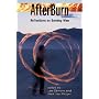 AfterBurn: Reflections on Burning Man (Counterculture Series)