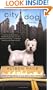 City Dog