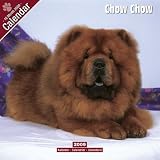 Chow Chow 2009 Wall Calendar 12 X 12