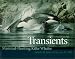 Book Transients: Mammal-Hunting Killer Whales of British Columbia, Washington, and Southeastern Alaska