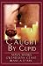 Books : Caught by Cupid