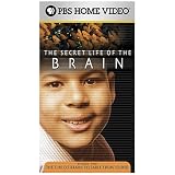 Secret Life Brain: Child's & Syllable [VHS]