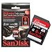 Sandisk Extreme 8GB HD Video Photo SDHC Memory Card for Panasonic Lumix DMC-FH20, FH3, FH1, F3, DMC-FP8, FP3, FP1, DMC-FX700, FX580, FX500, FX75, FX48, DMC-FZ35, DMC-TS10, TS2, DMC-ZS7, ZS5, ZS3, ZS1, ZR3 Digital Cameras