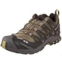 Salomon Men's XA Pro 3D Ultra GTX Trail Running Shoe