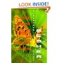 Chi: A Novel of Virtual Reality
