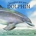 Imagine You are a Dolphin (Imagine You are a...)