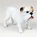 Bulldog, White Original Dog Figurine (4in-5in)