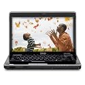 Toshiba Satellite M505-S4985-T 14.0-Inch Black/Onyx Laptop - 3 Hours 15 Minutes of Battery Life (Windows 7 Home Premium)