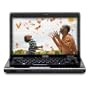 Toshiba Satellite M505-S4985-T 14.0-Inch Black/Onyx Laptop - 3 Hours 15 Minutes of Battery Life (Windows 7 Home Premium)
