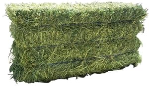 Standlee Premium Western Forage Timothy Grass, 10lb Box