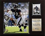 NFL Haloti Ngata Baltimore Ravens Player Plaque