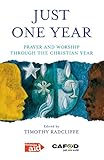 Just one year : prayer and worship through the Christian year