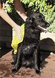 Eigenschaften Trixie 617792 / Trixie Hundehandtuch Top-Fix 50X60 2344