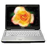 Toshiba Satellite X205-SLI3 17-inch Laptop (Intel Core 2 Duo Processor T7500, 2 GB RAM, 320 GB Hard Drive, Vista Premium)