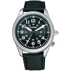 [シチズン]CITIZEN 腕時計 ALTERNA オルタナ クラシックパイロットウォッチ Eco-Drive 電波時計 Perfex搭載 VO10-6852 メンズ