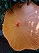 Quasimoon PaperLanternStore.com 32 Inch Orange Paper Parasol Umbrella, Scallop Shaped