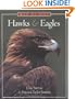 How to Spot Hawks and Eagles