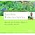 Leichte Kr�uterk�che: Rezepte mit frischen Kr�utern aus meinem Garten