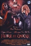 Fiore Di Carne