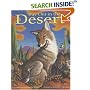 Way Out in the Desert