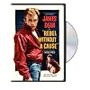 Rebel Without a Cause