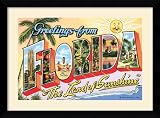 Greetings From Florida, The Land of Sunshine Framed Print by unknown Framed