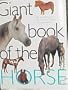 Giant Book of the Horse