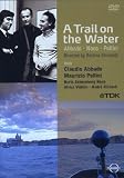 Eigenschaften TDK  / A Trail on the Water (NTSC)