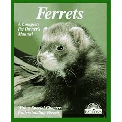 Ferrets: Everything About Purchase, Care, Nutrition, Diseases, Behavior, and Breeding... by E. Lynn Morton, Chuck Morton and Matthew M. Vriends