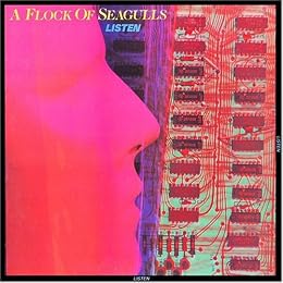 A Flock Of Seagulls Foto 2
