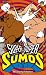 VHS : Super Duper Sumos - Absolutely Flabulous (Vol. 2)