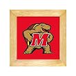 University of Maryland Terrapins Trivet - Wall Hanging