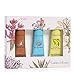 Crabtree & Evelyn Hand Therapy Sampler, Best Sellers 3-Pack