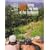 Hot Springs and Hot Pools of the Southwest