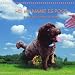 HI! MY NAME IS POCO: A true story by Norman Ward