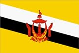 Brunei Nylon flag 2 ft. x 3 ft.