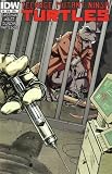 Teenage Mutant Ninja Turtles #9 (Cover Chosen Randomly)