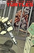 Teenage Mutant Ninja Turtles #9 (Cover Chosen Randomly)
