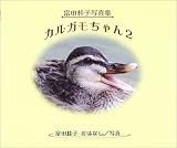 カルガモちゃん〈2〉富田桂子写真集