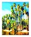 Exegesis 1 Seasons Photographic Poster Print by Gerzon Ronces, 16x20