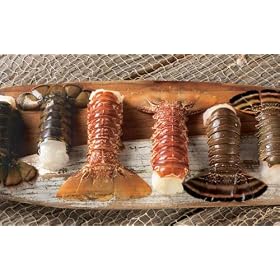 Tempting Tail Sampler