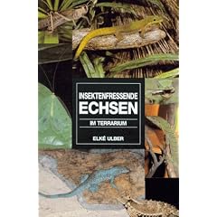 Insektenfressende Echsen im Terrarium