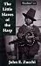 The Little Slaves of the Harp: Italian Child Street Musicians in Nineteenth-Century Paris, London, and New York (Mcgill-Queen's Studies in Ethnic History, 13)