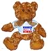 VOTE FOR DEAN Plush Teddy Bear with BLUE T-Shirt