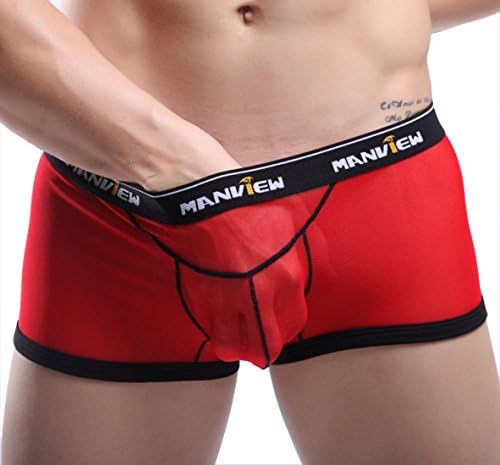 Men's Sexy Sheer See-through Underwear Boxers Briefs