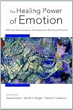 The Healing Power of Emotion: Affective Neuroscience, Development and Clinical Practice (Norton Series on Interpersonal Neurobiology)