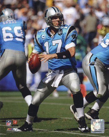 Jake Delhomme 2008 Action - Licensed Photo by PhotoFile (8x10)