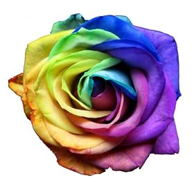  虹色のバラ･レインボーローズの花束　本数指定(3本): ホーム&キッチン