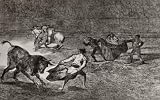 Francisco de Goya y Lucientes (Follow the 